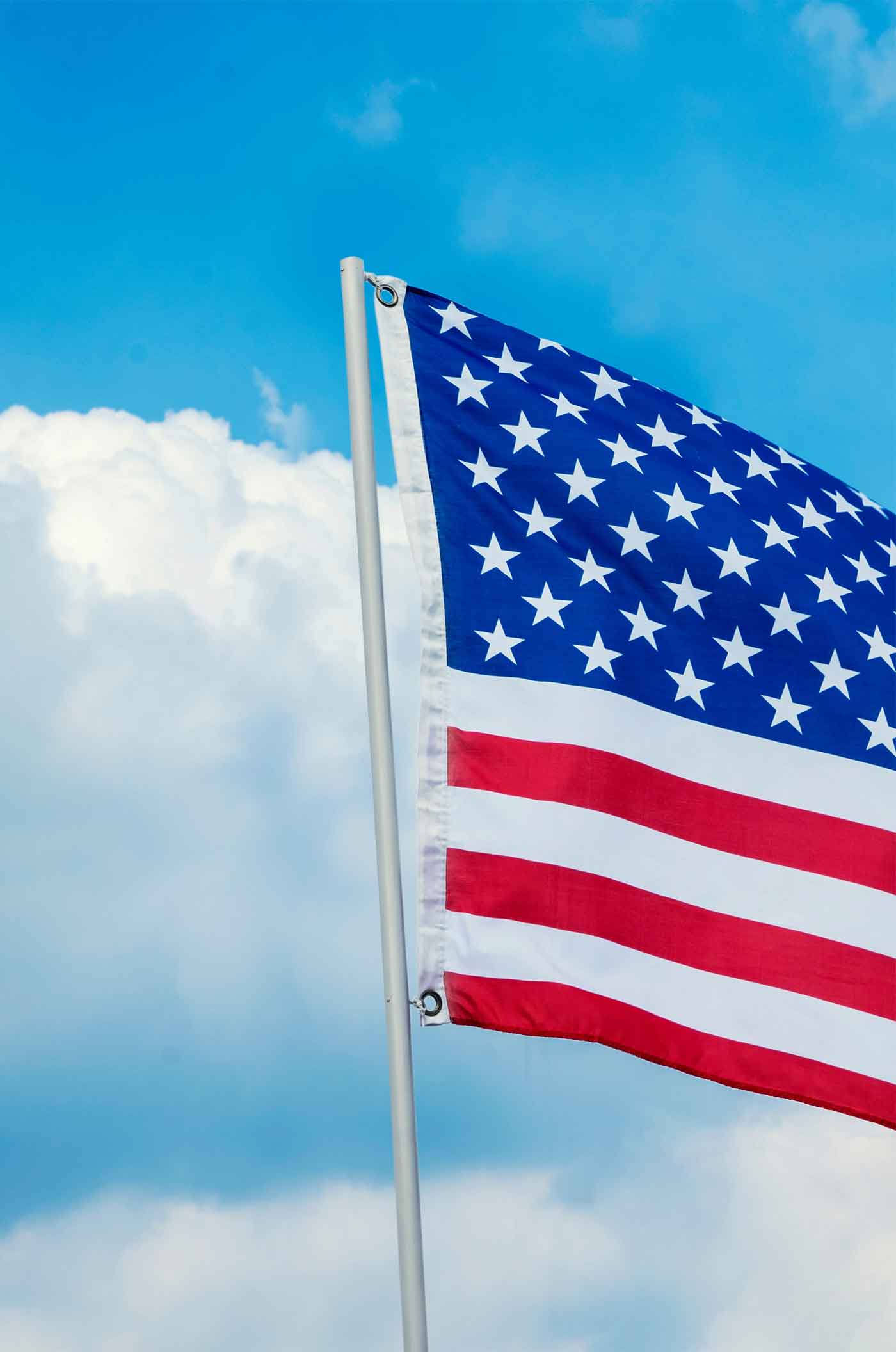 Applique & Embroidery