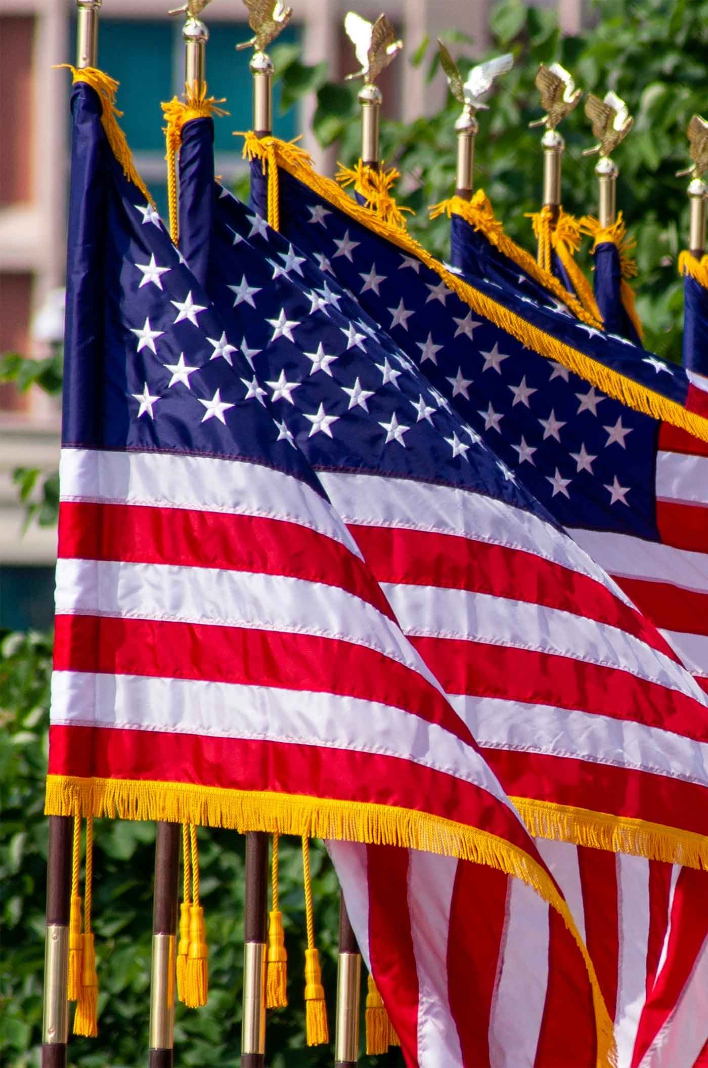 Applique & Embroidery