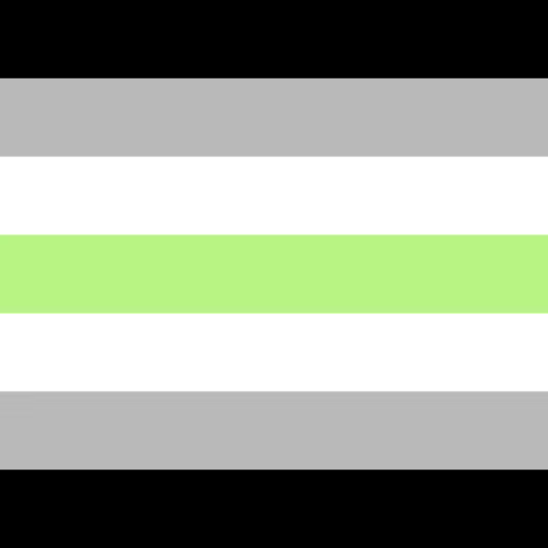 A-Gender Pride Flag - National Capital Flag