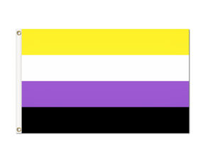 Non-Binary Pride Flag