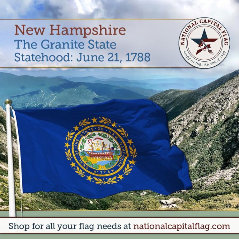 New Hampshire Statehood Anniversary National Capital Flag