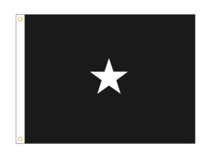 3x4 ft 1 Star US Space Force General Flag (H/G)