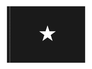 3x4 ft 1 Star US Space Force General Flag (PH)