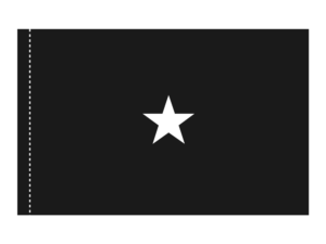 4x6 ft 1 Star US Space Force General Flag (PH)